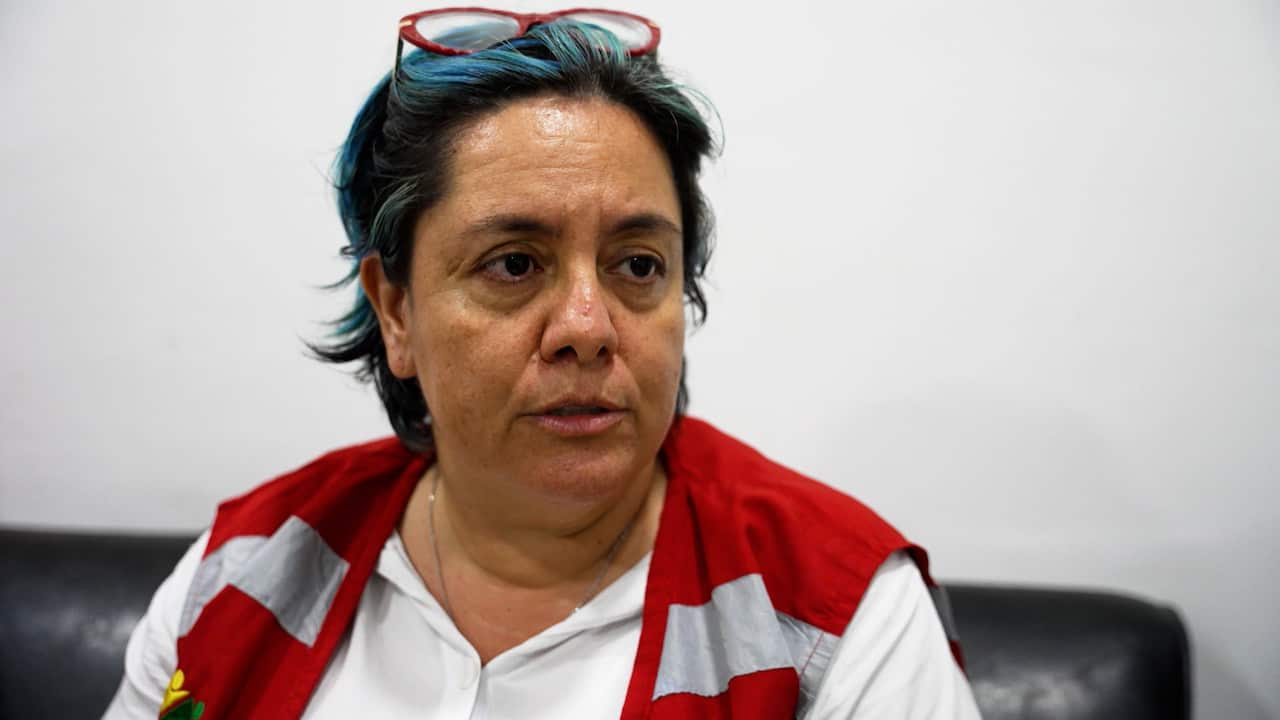 A middle-aged woman with short blue hair and glasses on top of her head wearing a red-and-grey safety vest with a white top underneath