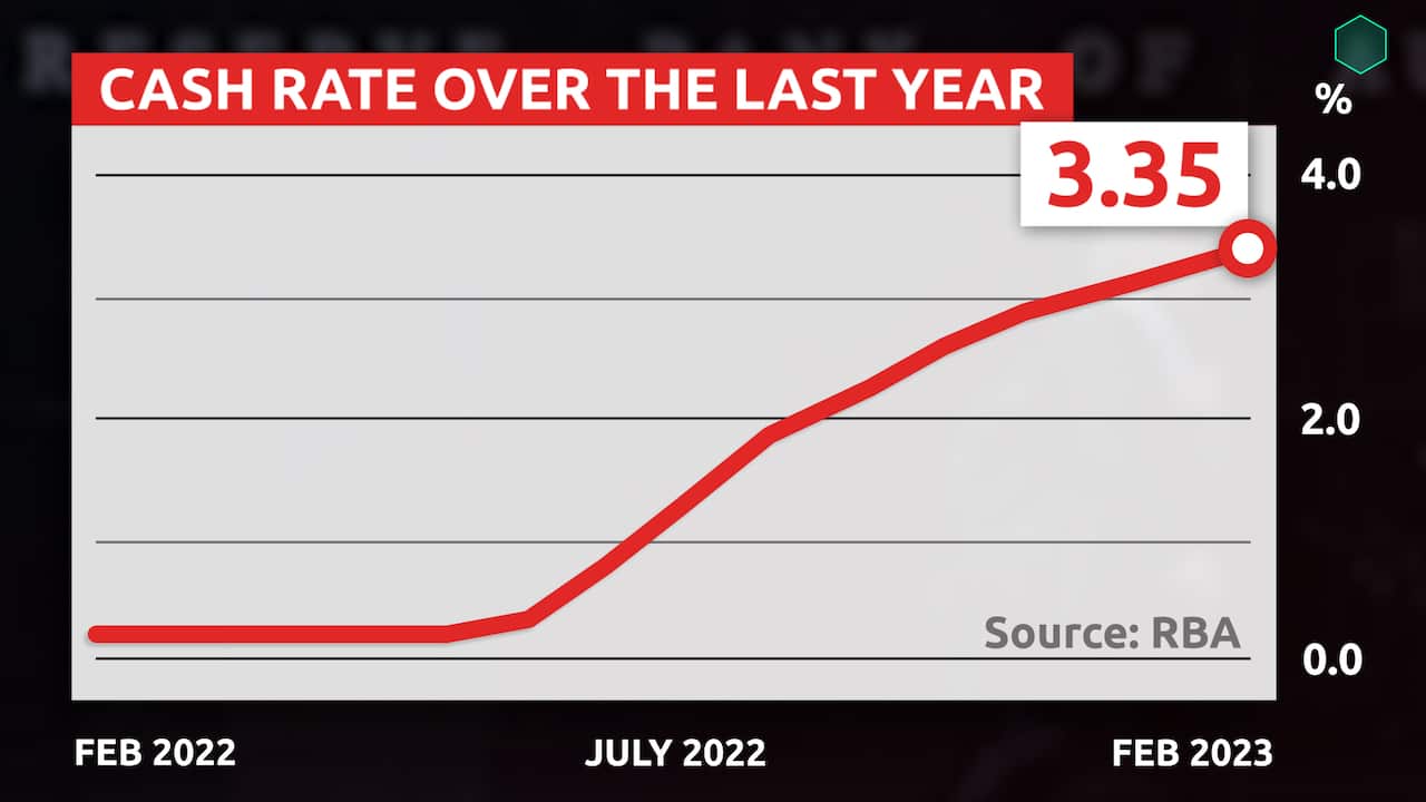 A line graph showing how the cash rate has grown over the last year.