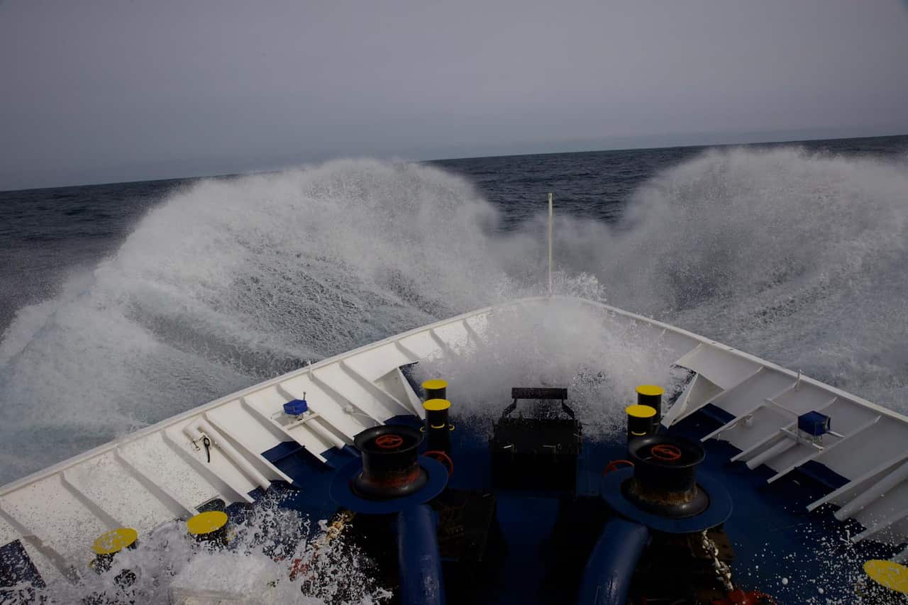 PHOTO-2023-03-23-16-02-07 6.jpg