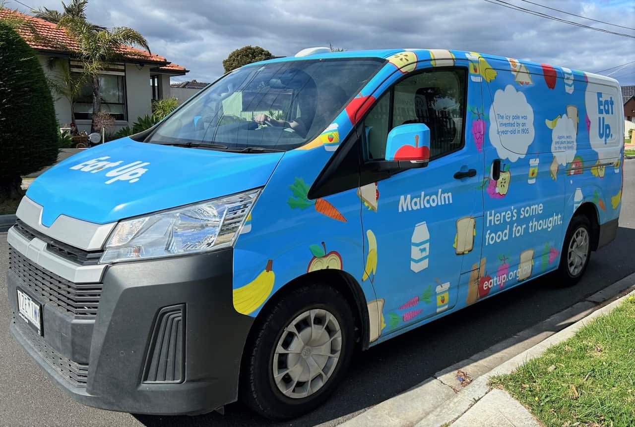 A blue van parked on a suburban street.