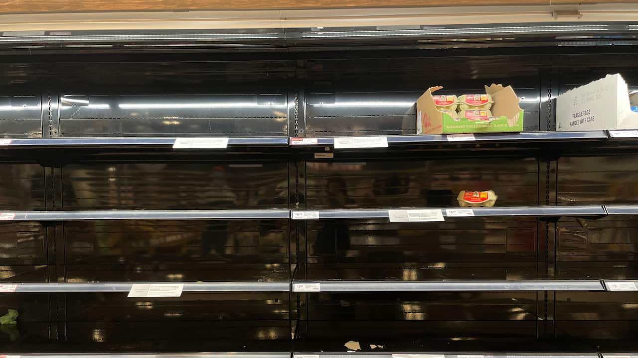Empty shelves supermarket shelves with one egg carton.