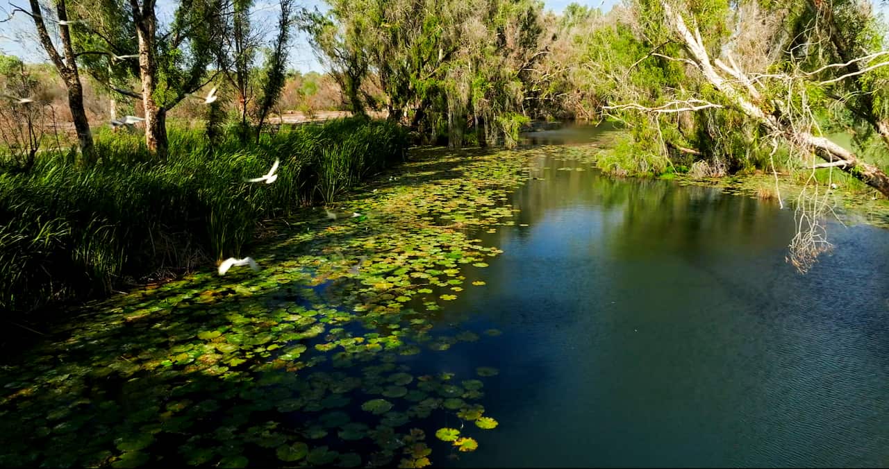 Millstream Video Pic17.png