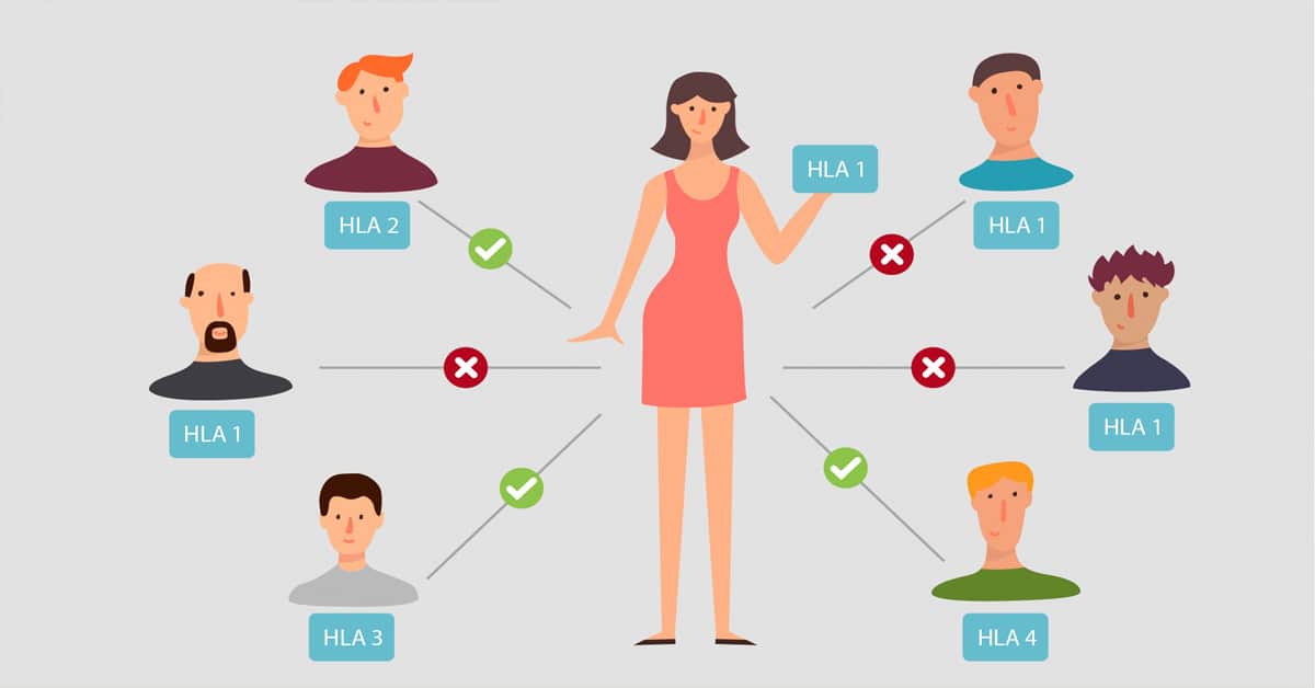 A graphic of six men and a woman demonstrating how their differing HLA molecules may suggest a good match.