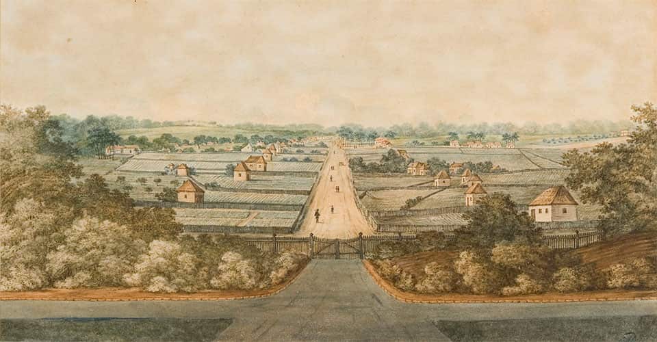 A colourful drawing of the wide open lands of parramatta at the turn of the 19th century, fields and small houses, roads and lanes cover the picture.
