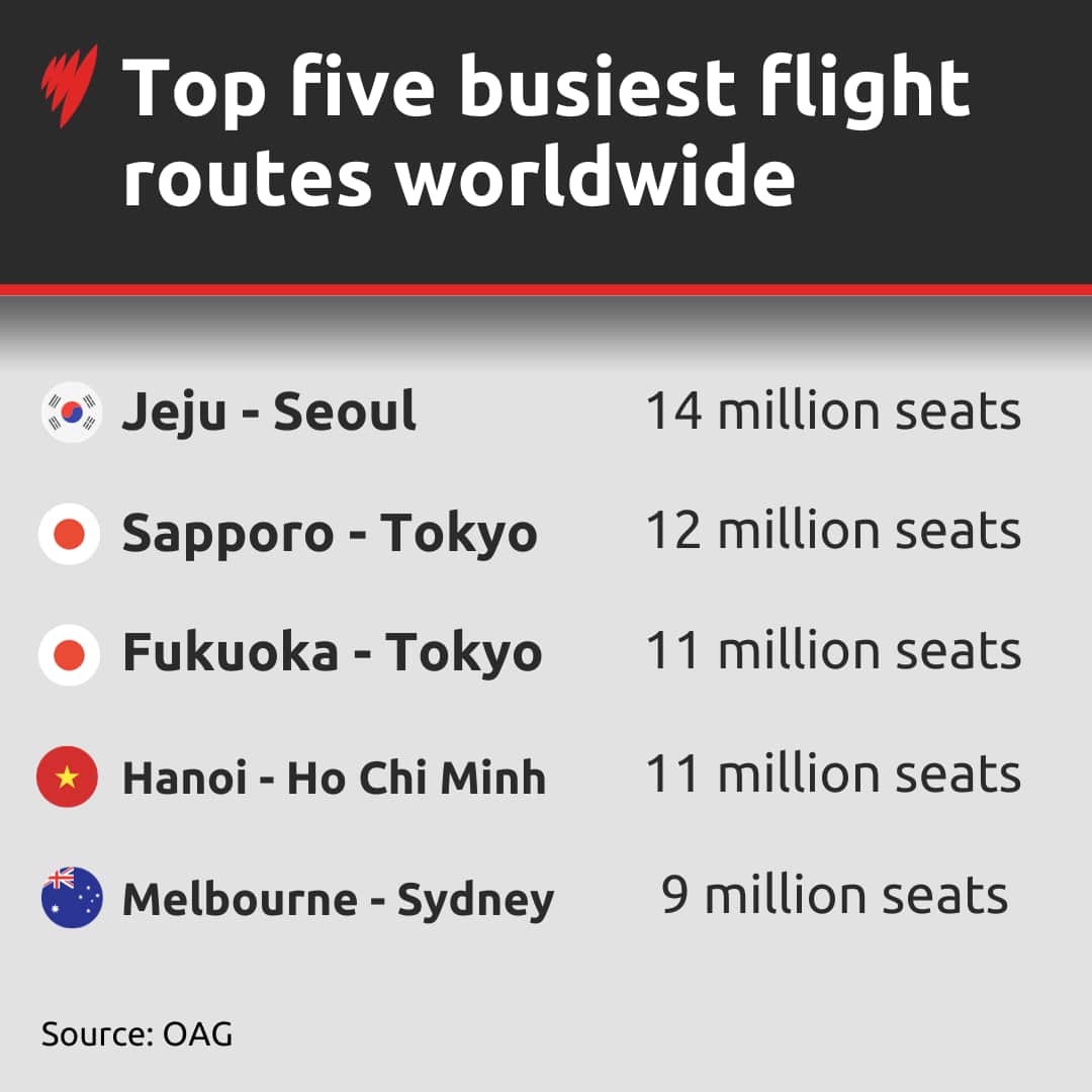 A graphic depicting the world's busiest domestic airline routes 