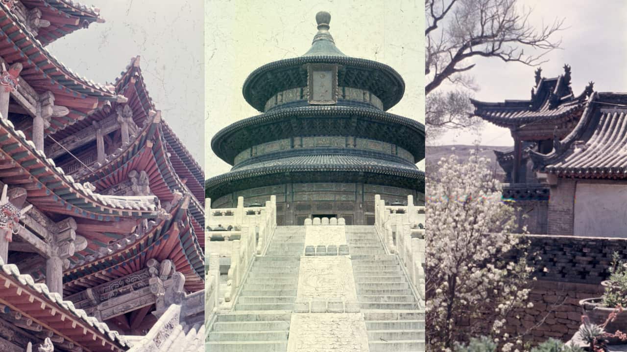 Untitled design (5).jpg