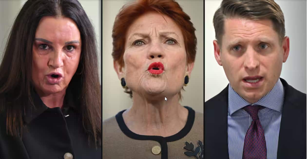 Jacqui Lambie has condemned Pauline Hanson over a One Nation cartoon labelling Andrew Hastie a traitor, urging it be taken down..png