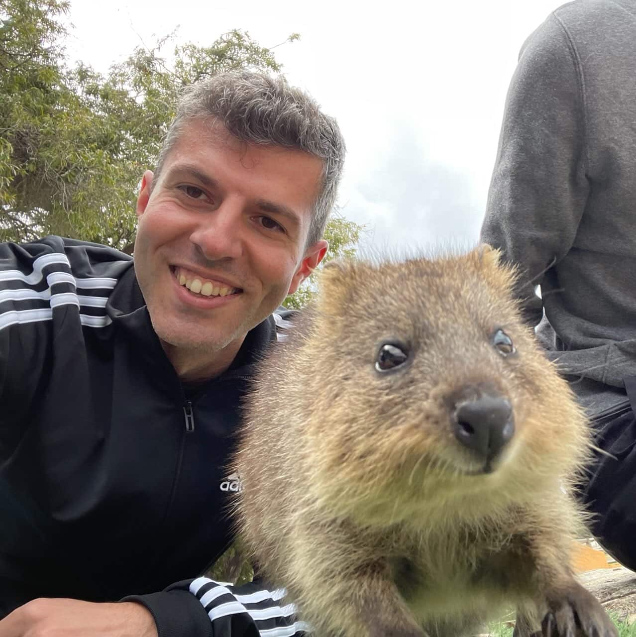 Simone Cavallaro posa insieme ad un non convintissimo quokka.