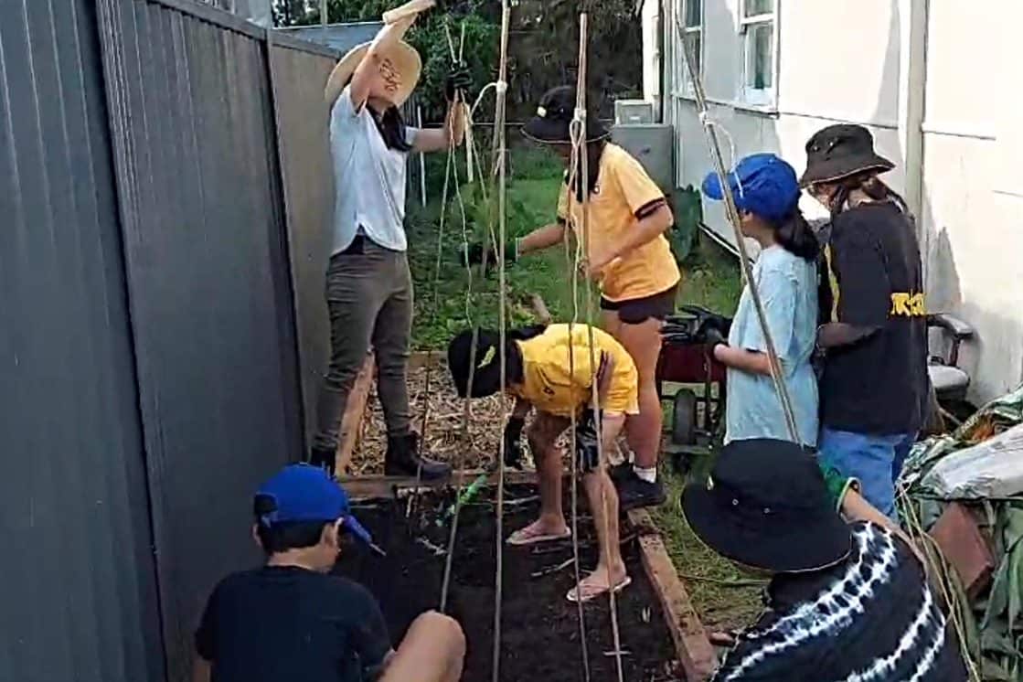 vuon cong dong 3.jpg