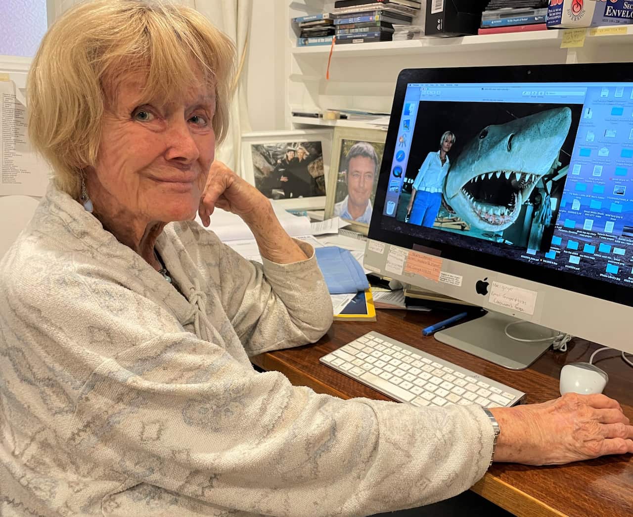 An elderly woman sits at a computer screen displaying a photo of a shark.