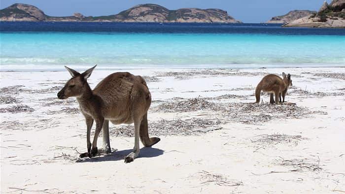 Lucky Bay.jpg