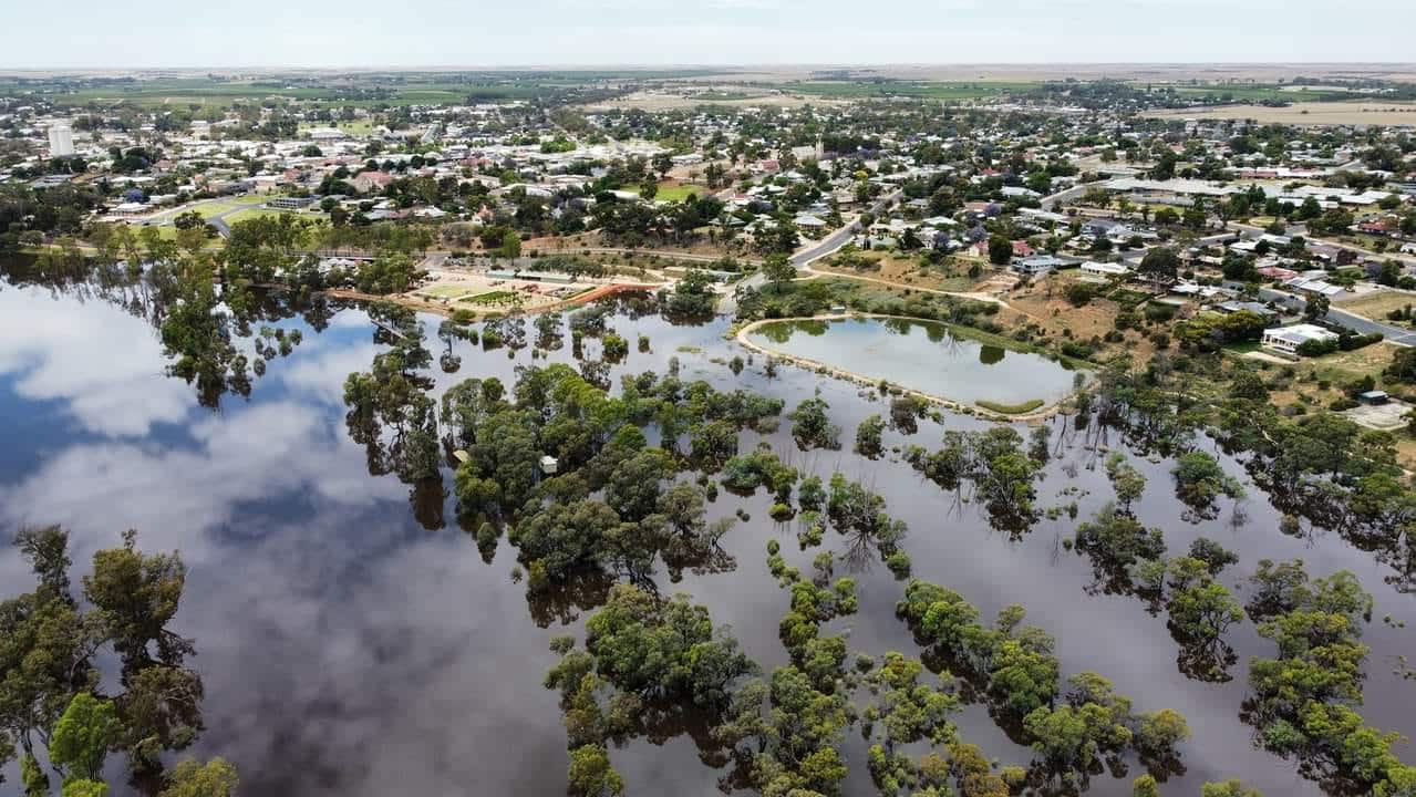 Treetops can be seen above floodwaters in South Australia. 