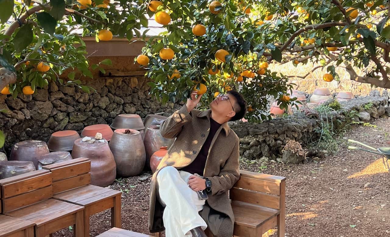Man sits on a small bench below a tree with fruit.