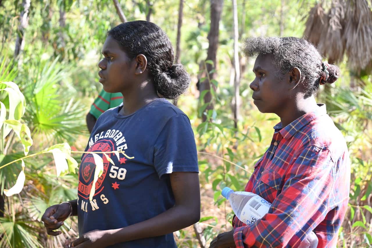 Praxedes Tipungwuti and Xaverina Poantimilui harvest plant samples from their country on Bathurst Island