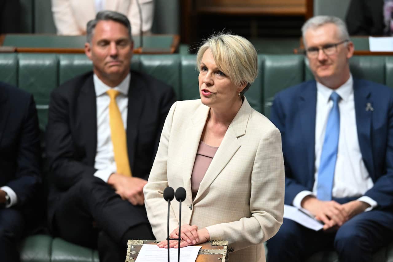 A woman speaking in parliament, with two men pictured behind her.