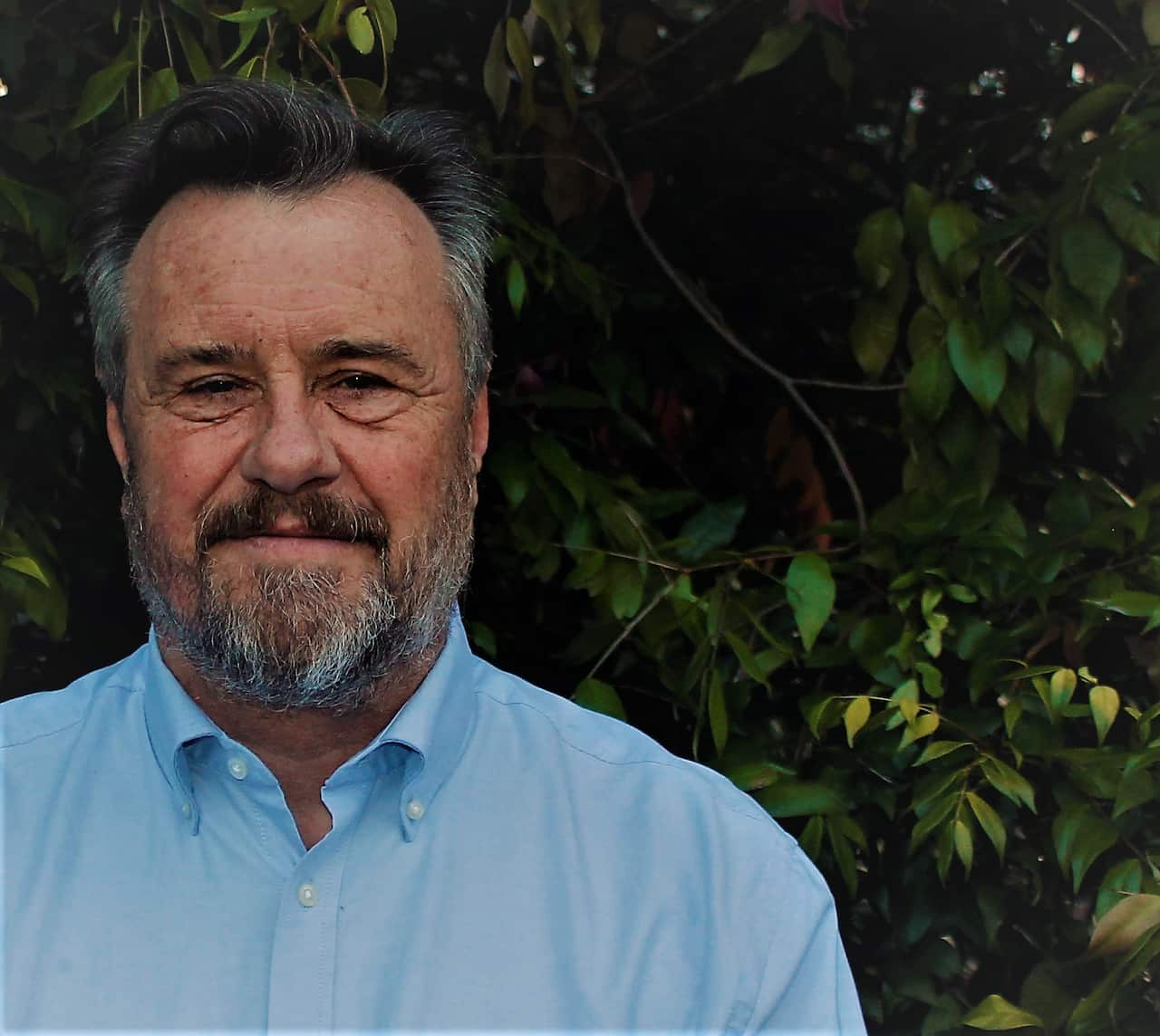 A man in a blue shirt is standing in front of some trees