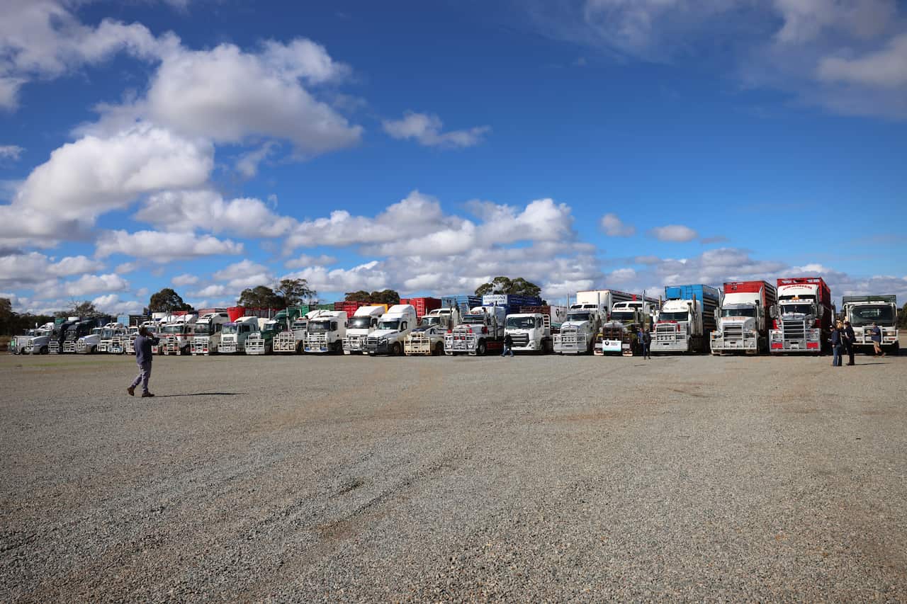 A convoy of trucks line a road. 