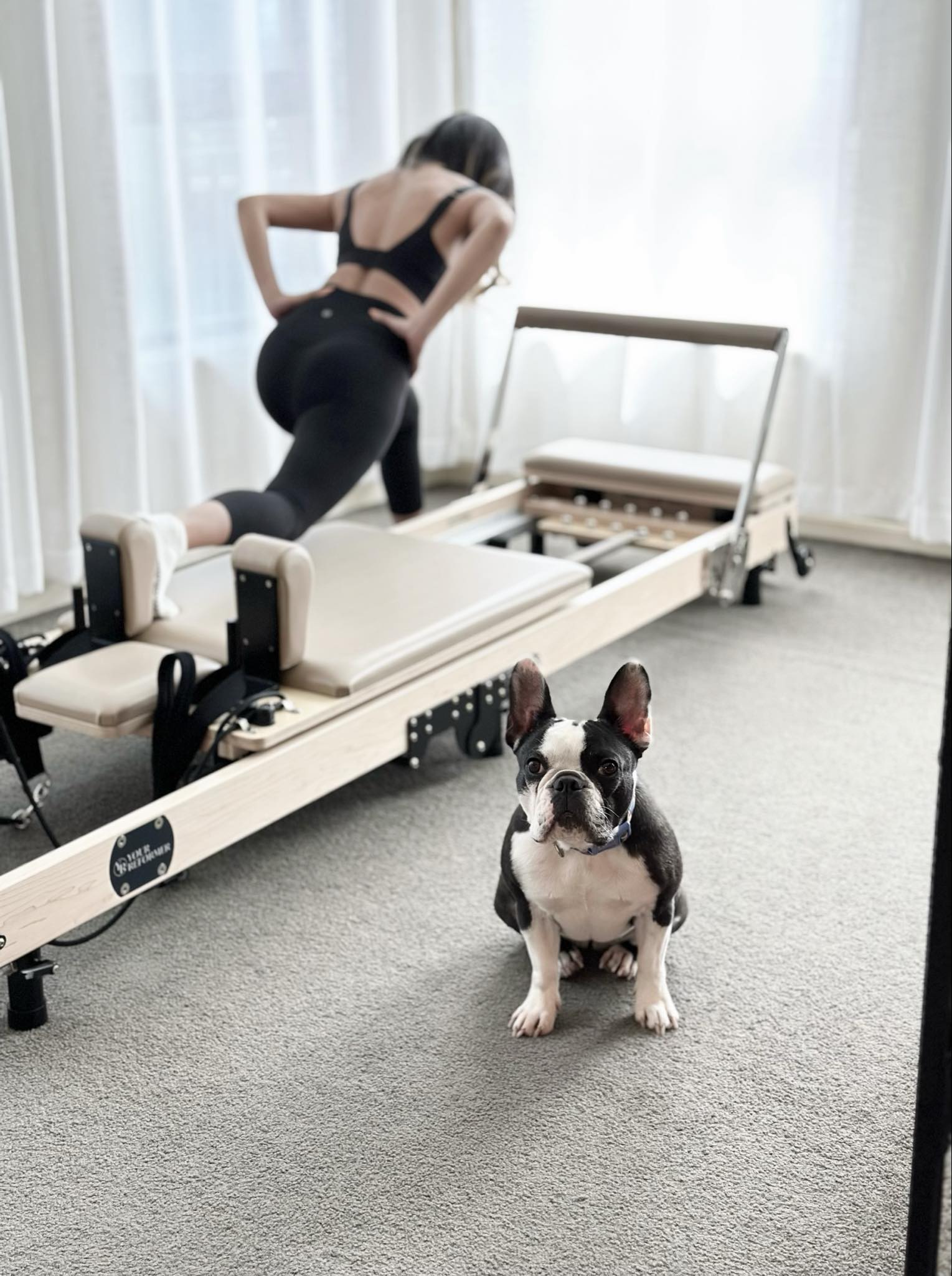 Photo-Seepair (2).jfif