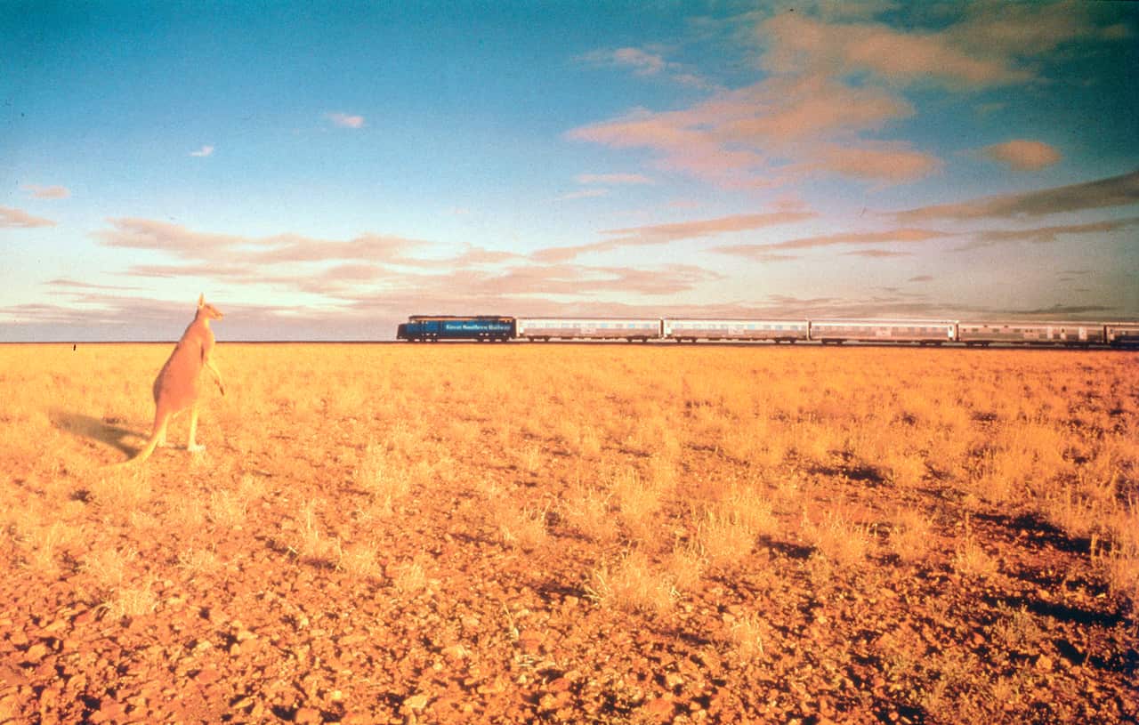 TRAVEL TRAINS