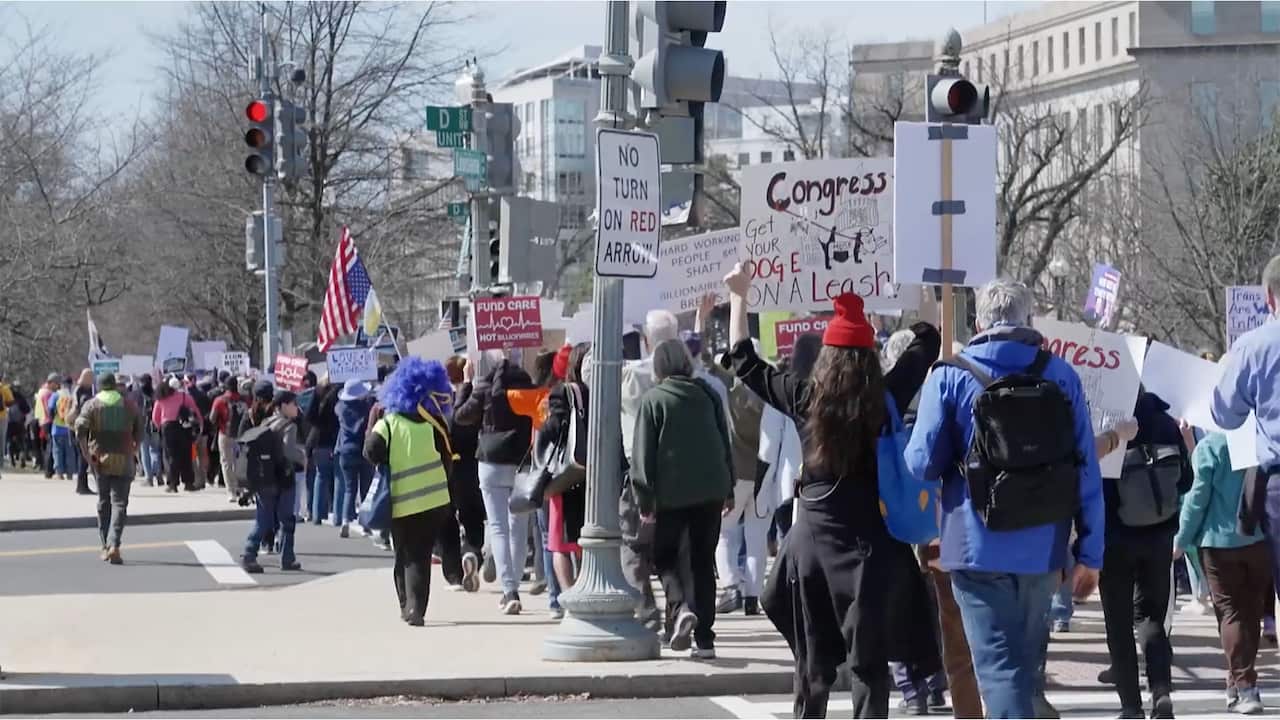 Hundreds of people at a Free Luigi protest in the US. The protesters are facing away from the camera and carry signs with slogans about the US healthcare system and flags.