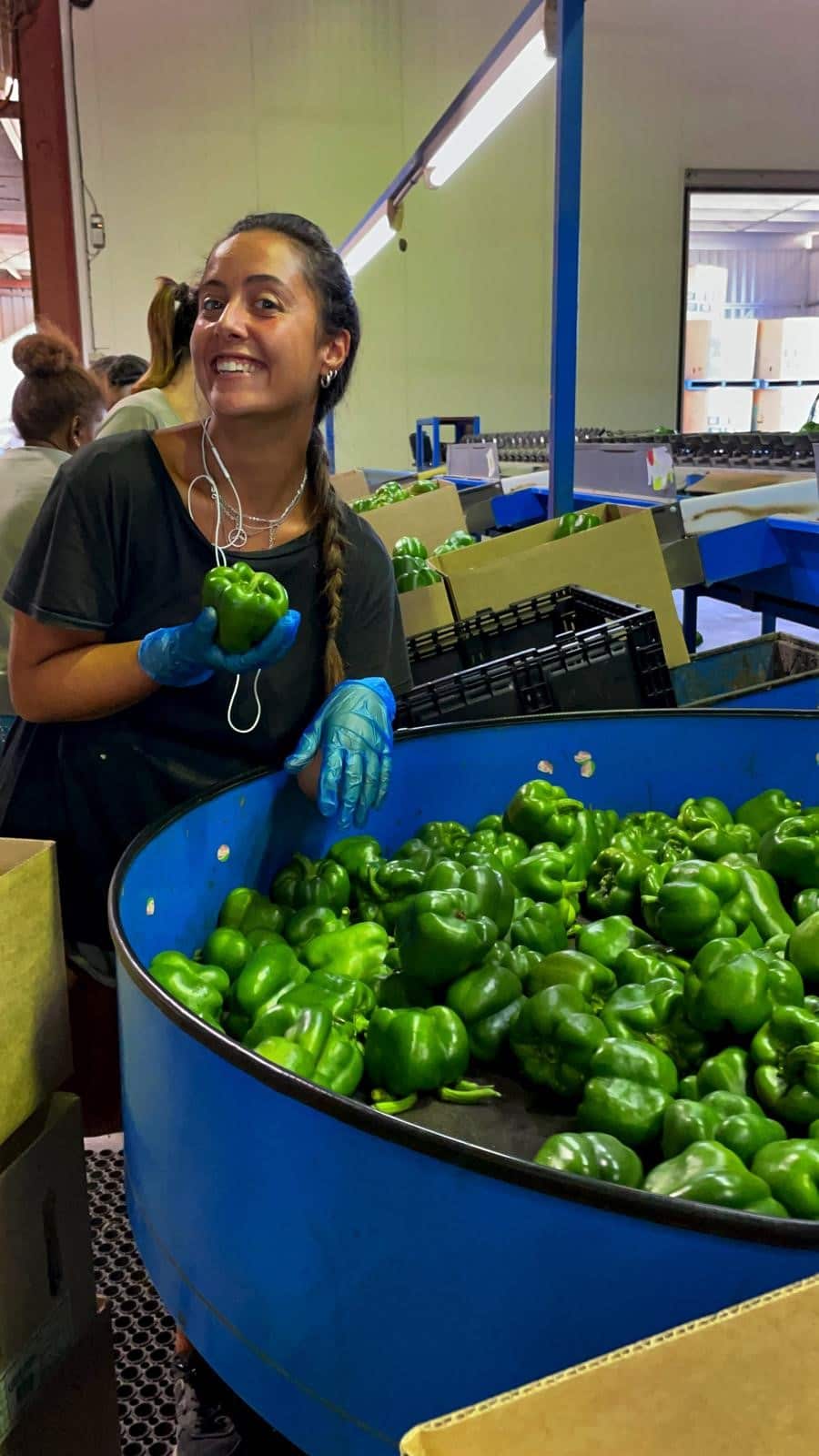 Federica Mascolo 1.jpg