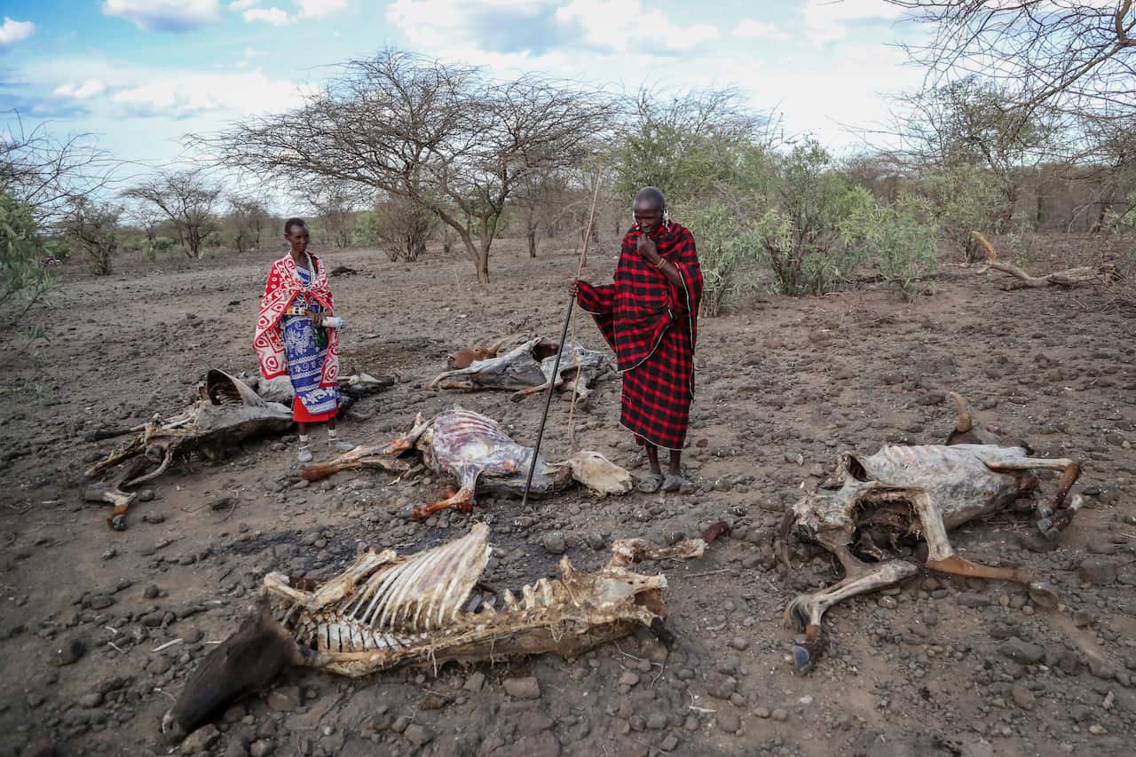 Two farmers walk past animal carcasses in an arid field in Kenya.