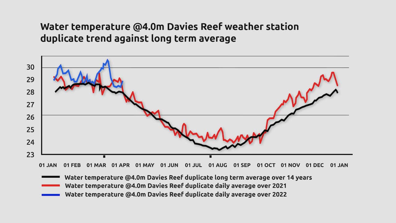 Graph of water temperatures as monitored by the Davies Reef weather station