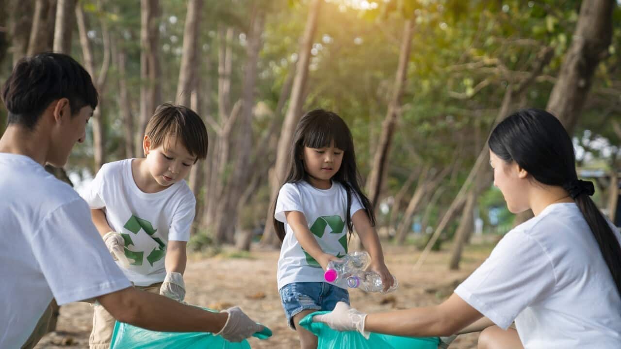 Cleaning the environment .jpg