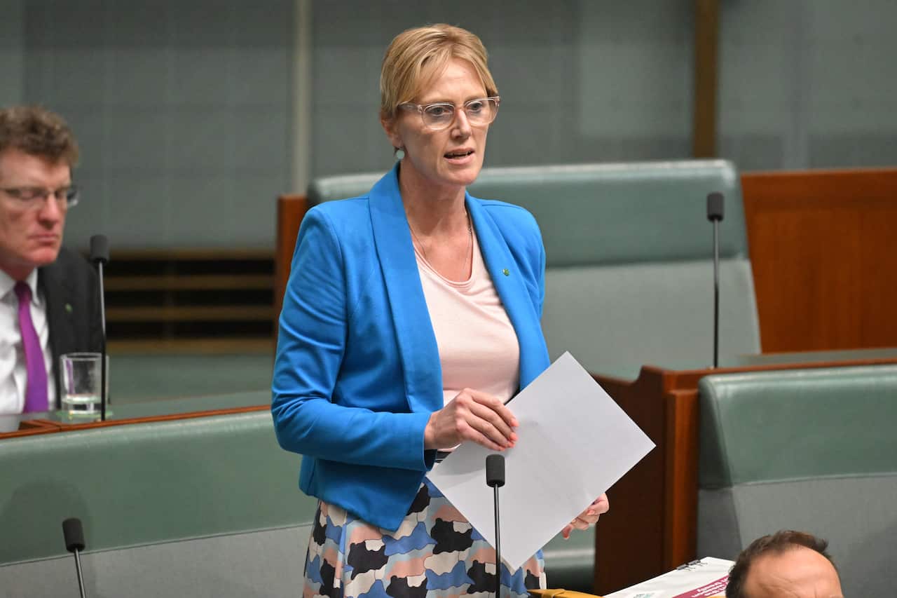 Zoe Daniel speaking in parliament