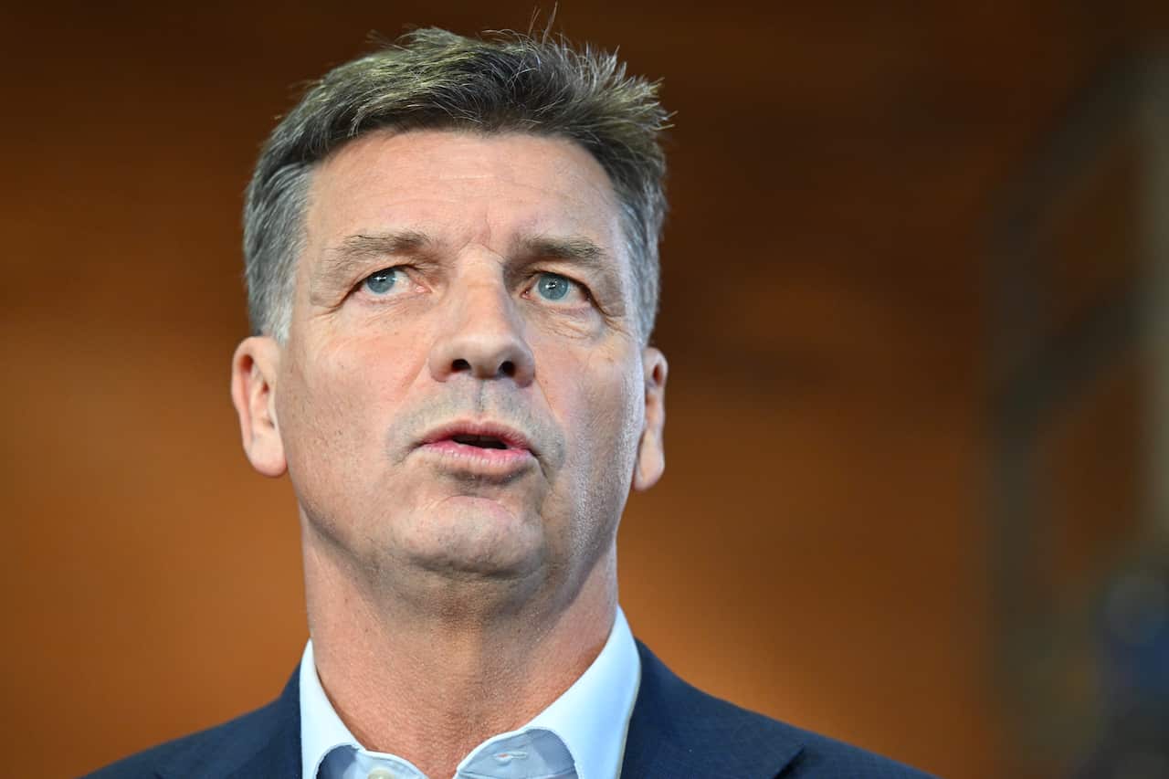 Angus Taylor, standing in front of a brown wall.