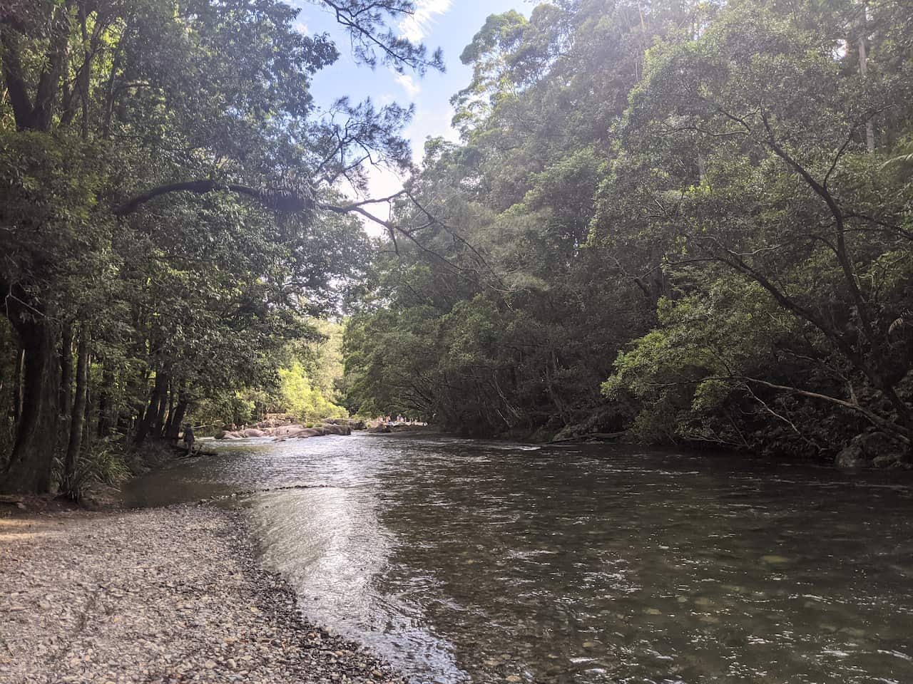 Riverbank lined by trees.