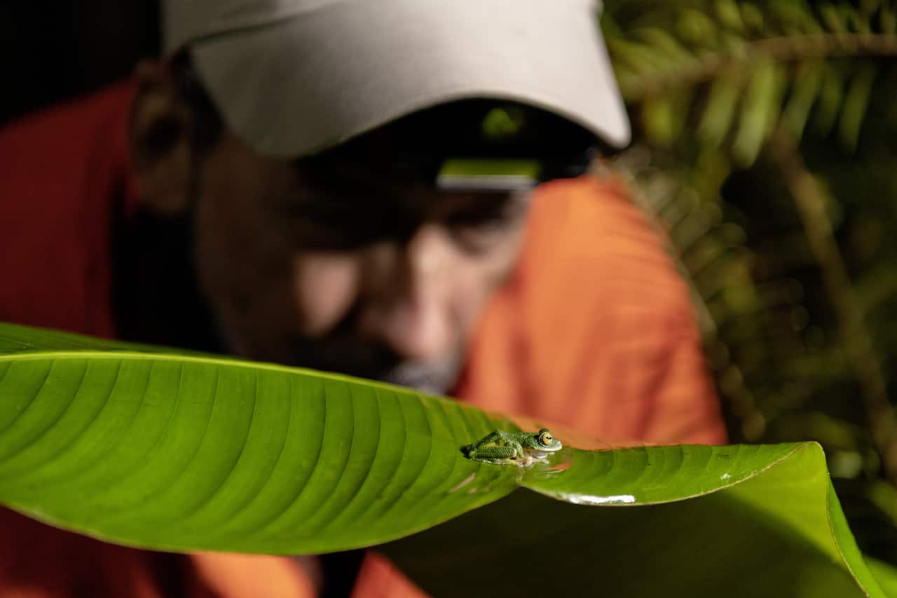 The Rolex Awards for Enterprise, Rohan Pethiyagoda, Sri Lanka, 2000 laureate