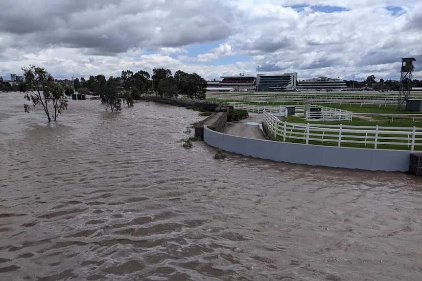 Floodwater pools next to a racecourse wall