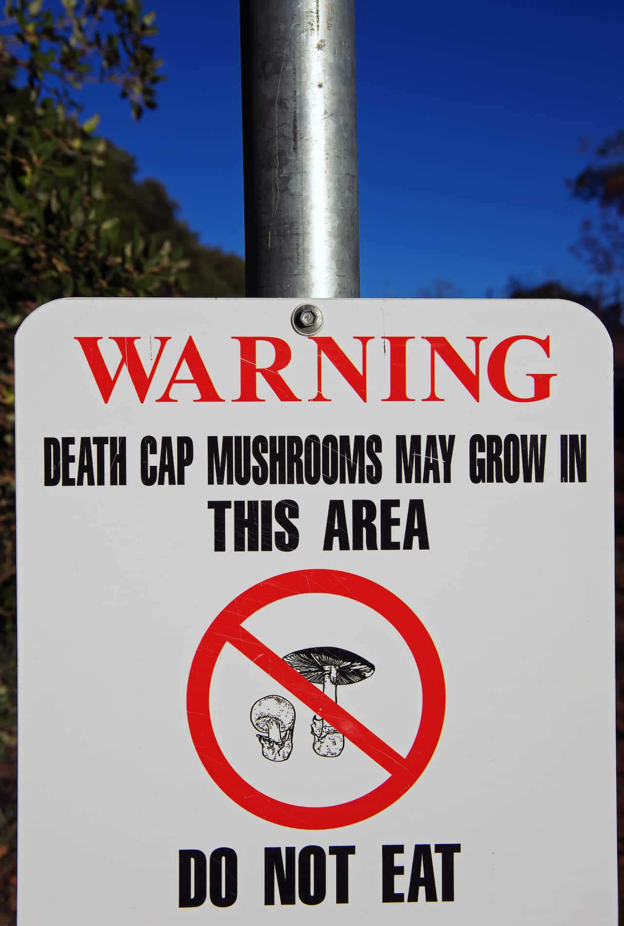 Australia Explained - Warning sign stating 'Death Cap Mushrooms may grow in this area. Do not eat'