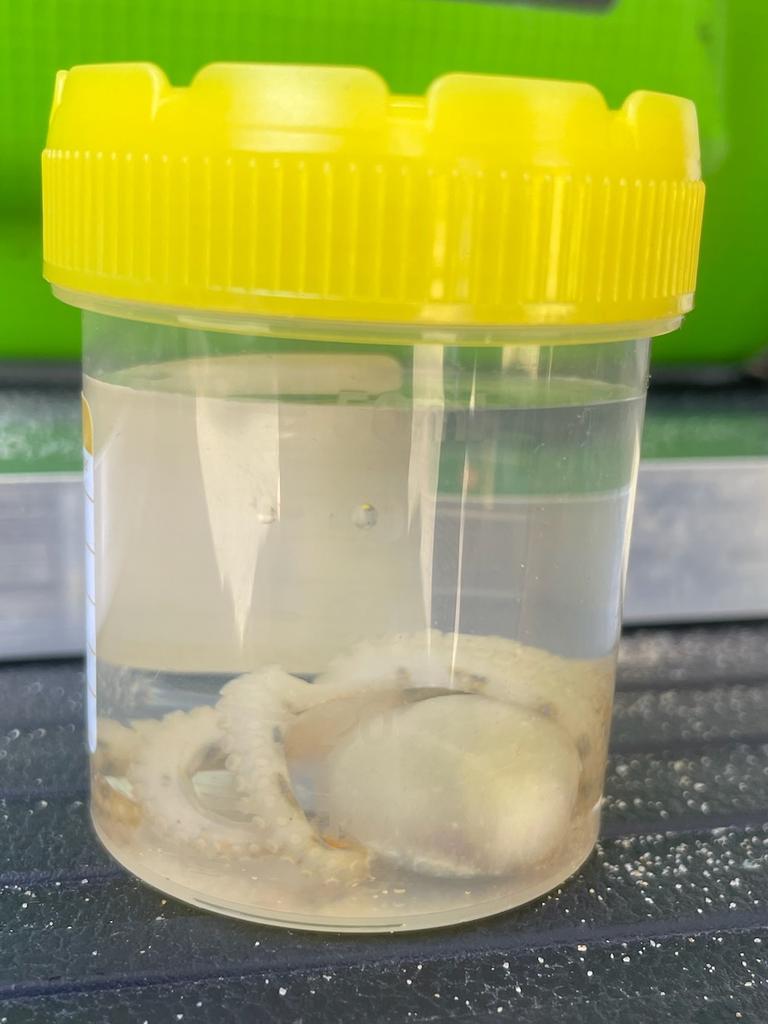 72c0dea9c76a4e308fc3d81deed496b1.jfif