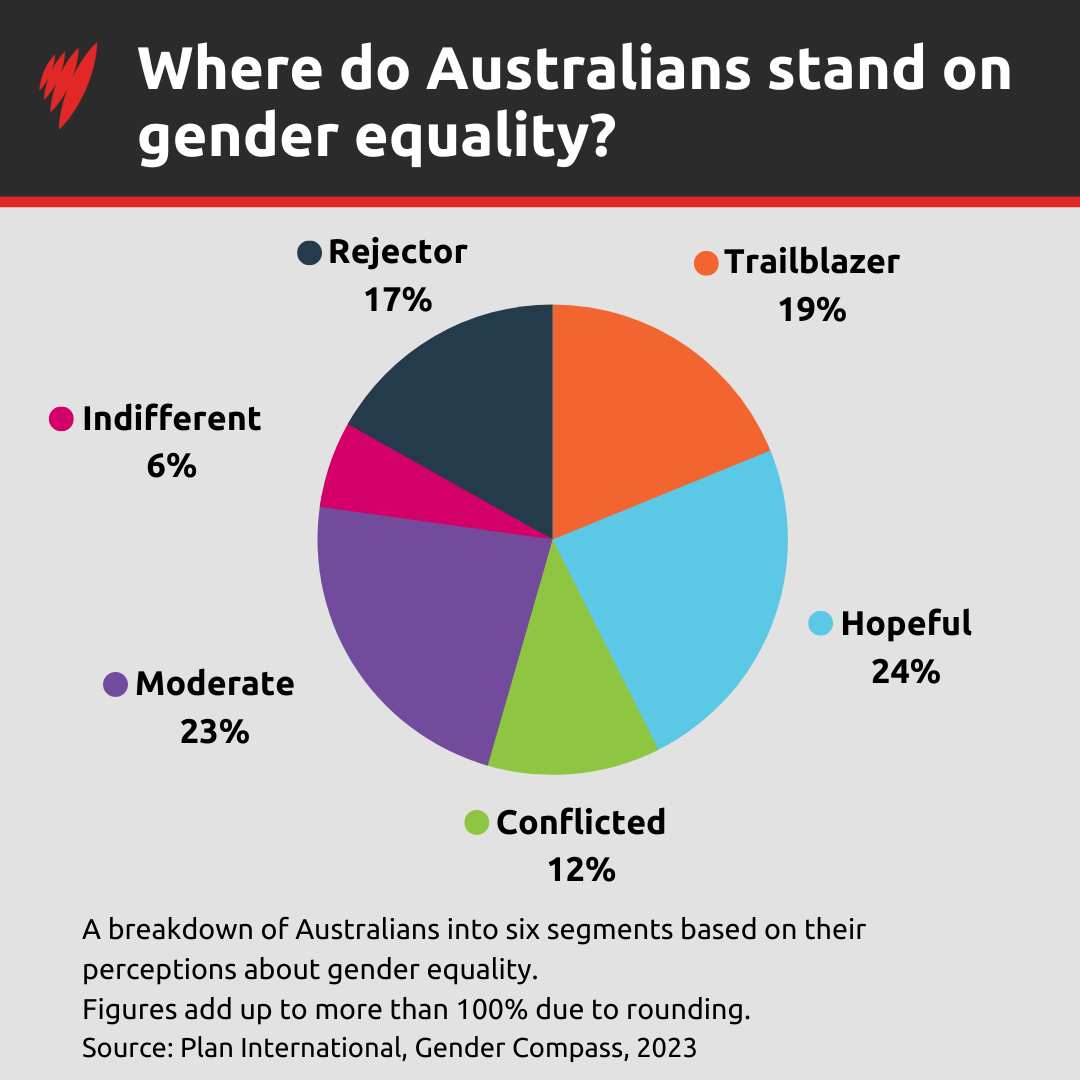 A pie chart showing how Australians think about gender equality, according to new research. 