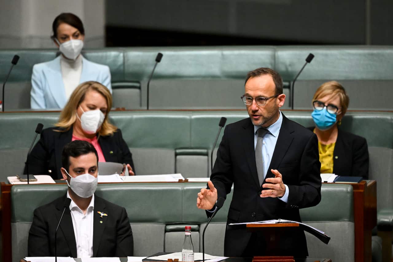 Greens Leader Adam Bandt speaks in parliament.