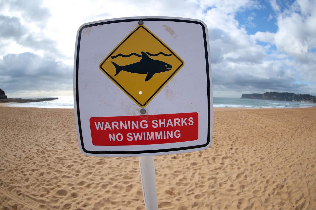 Tanda larangan berenang karena kehadiran ikan hiu