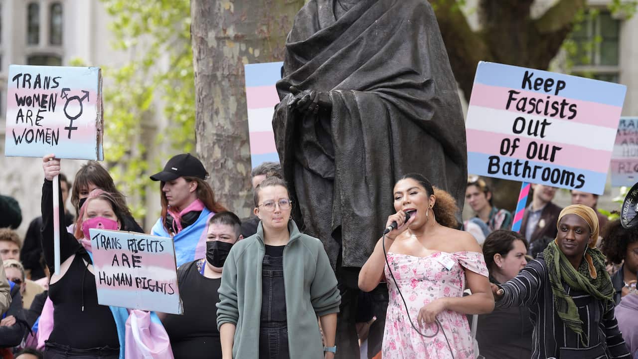 A group of protesters, some holding signs with pro-trans messages.