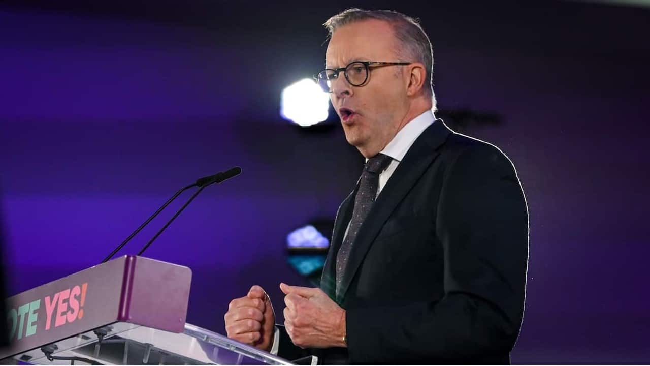 Anthony Albanese.jpg