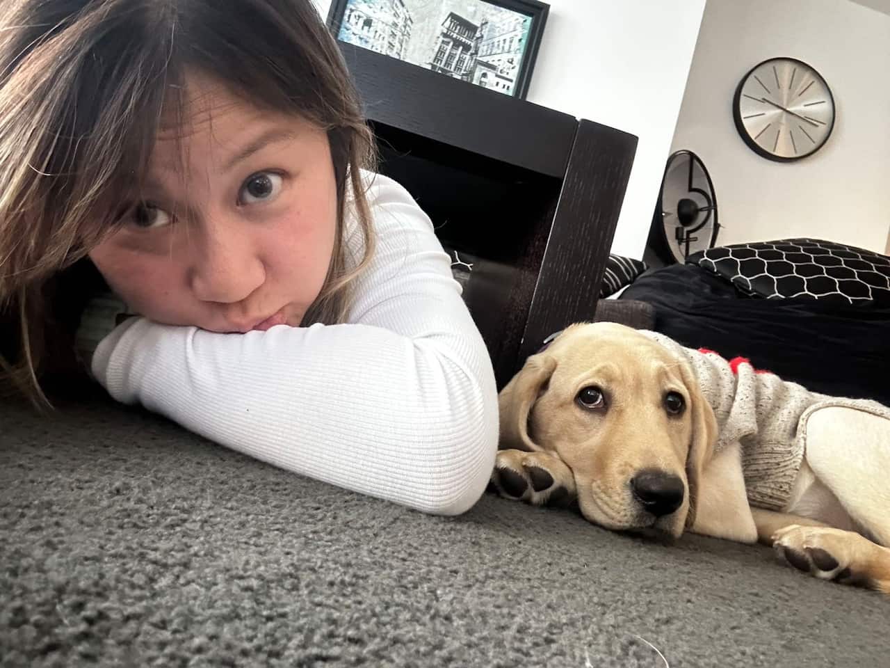 seeing eye dogs puppy carer (3).png