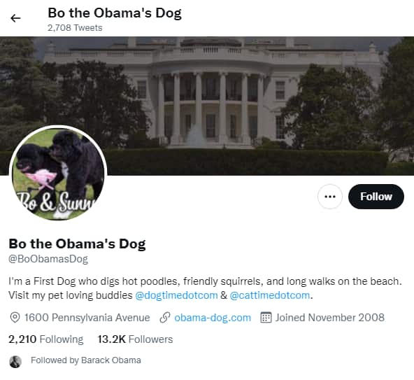 A screenshot of some text.