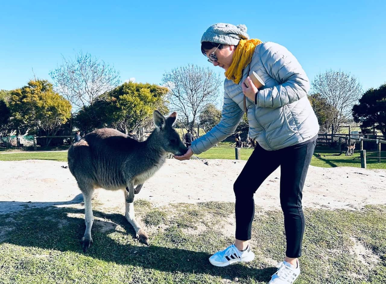 WhatsApp Image 2025-05-19 at 11.46.58 AM.jpeg