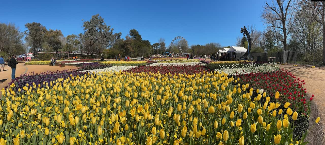 floriade 5.jpg