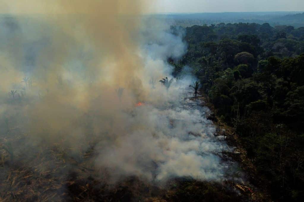 Smoke rises over a fire in the Amazon rainforest