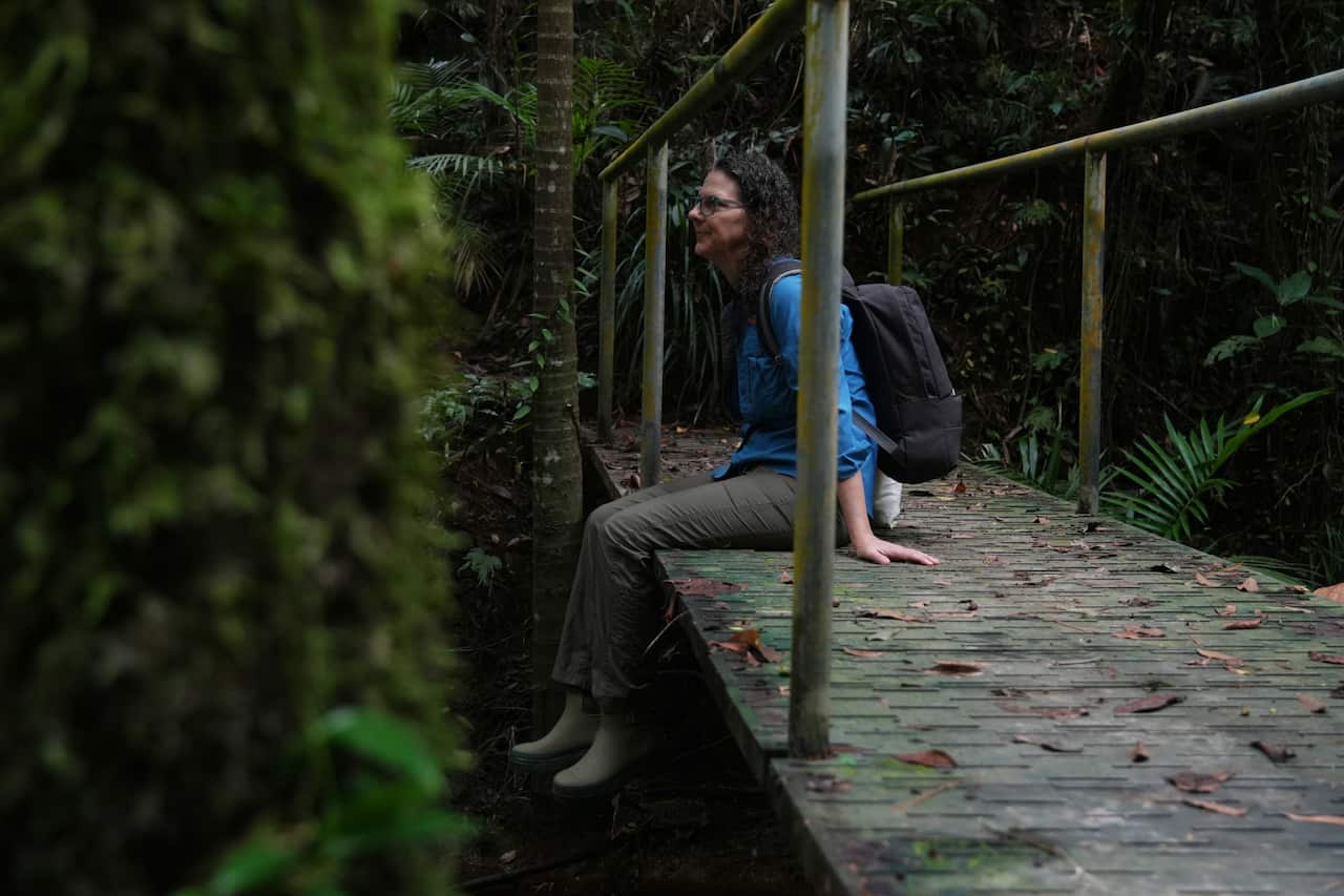 A woman in a blue shirt and grey trousers with a backpack is sitting on a bridge with her legs dangling, flanked by dense forest.