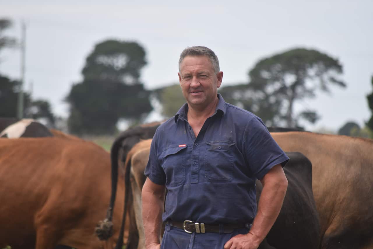 A man in a blue shirt is standing outside in front of cattle.