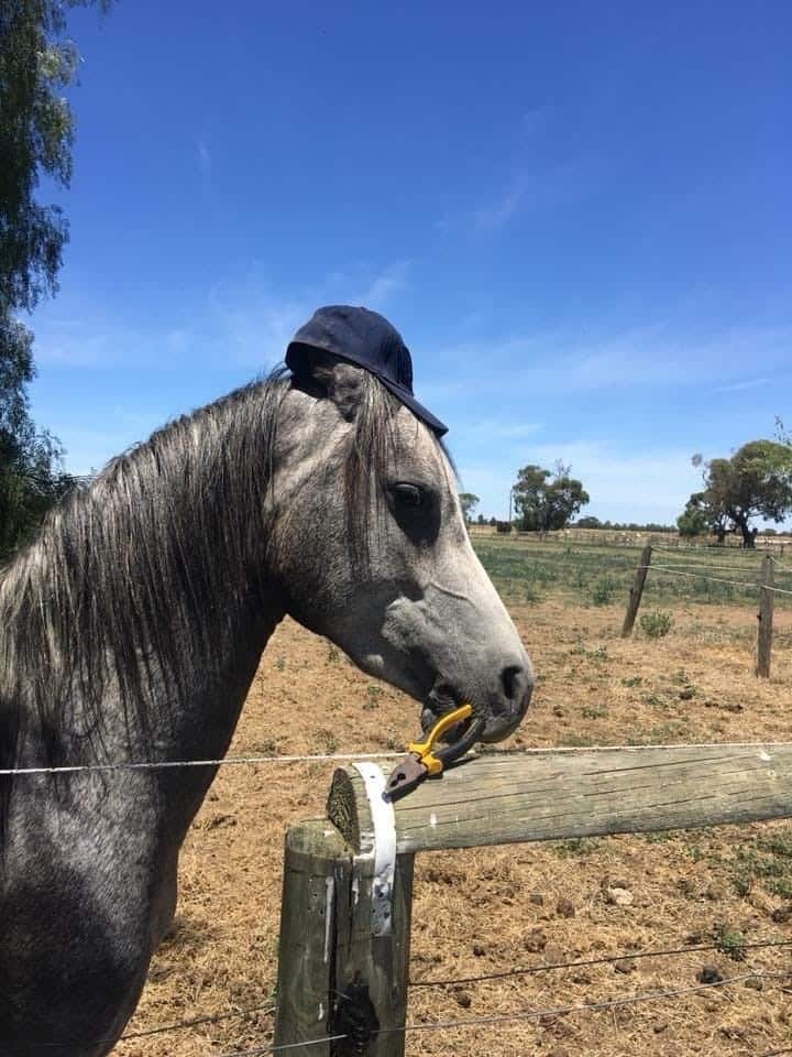 thumbnail_Image (2).jpg