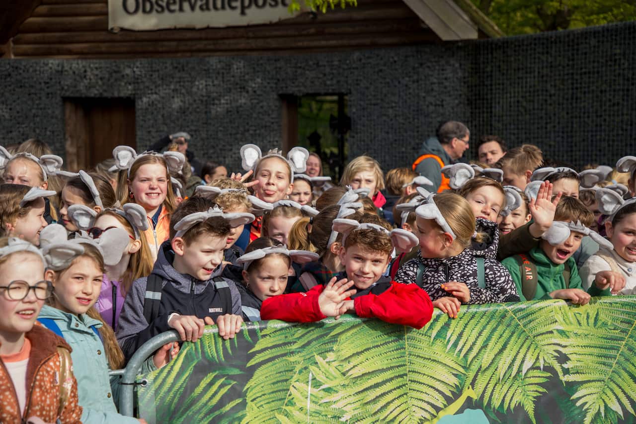 Koalia Opening Kinderen