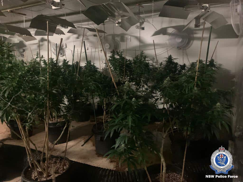 RAPTOR Sth Highlands#4.JPG